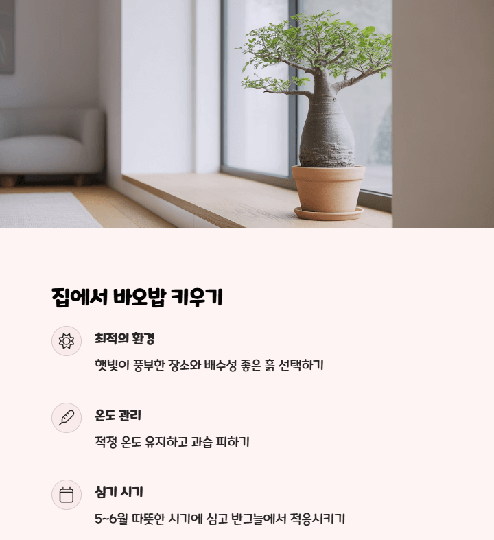 바오밥 나무 키우기