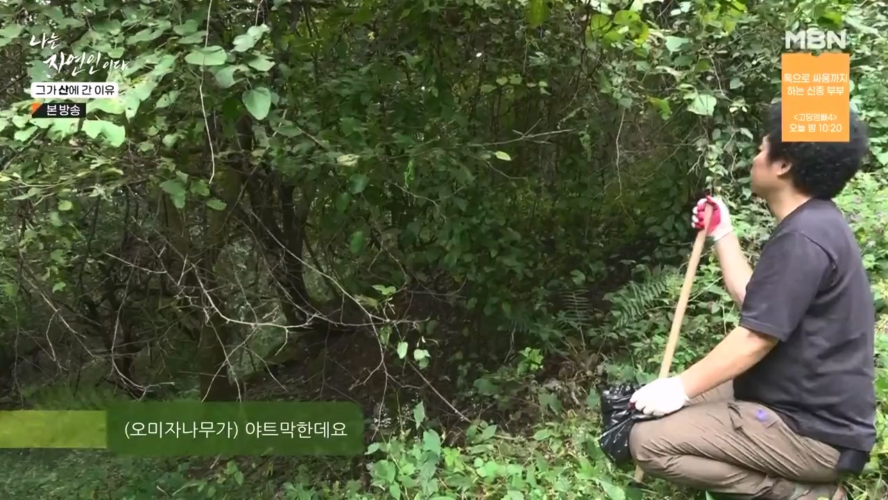 나는 자연인이다.E575.231012p-NEXT.mp4_20231012_201003.786.jpg