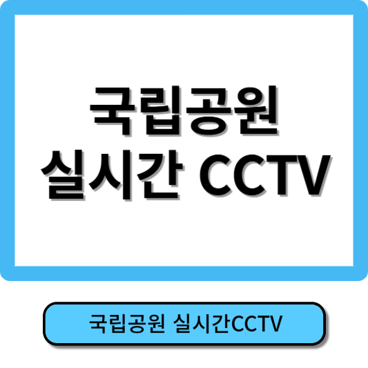 국립공원 실시간 CCTV