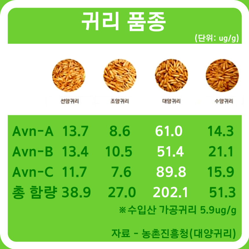 대양개발 이미지