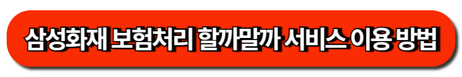 삼성화재 자동차보험 &lsquo;보험처리 할까말까 서비스&rsquo; 이용 방법