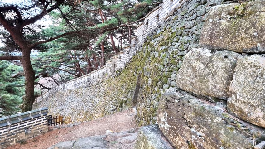 옹성의 외부 정면&#44; 성벽의 돌에 녹색 이끼&#44; 즐비한 명품소나무들&#44;