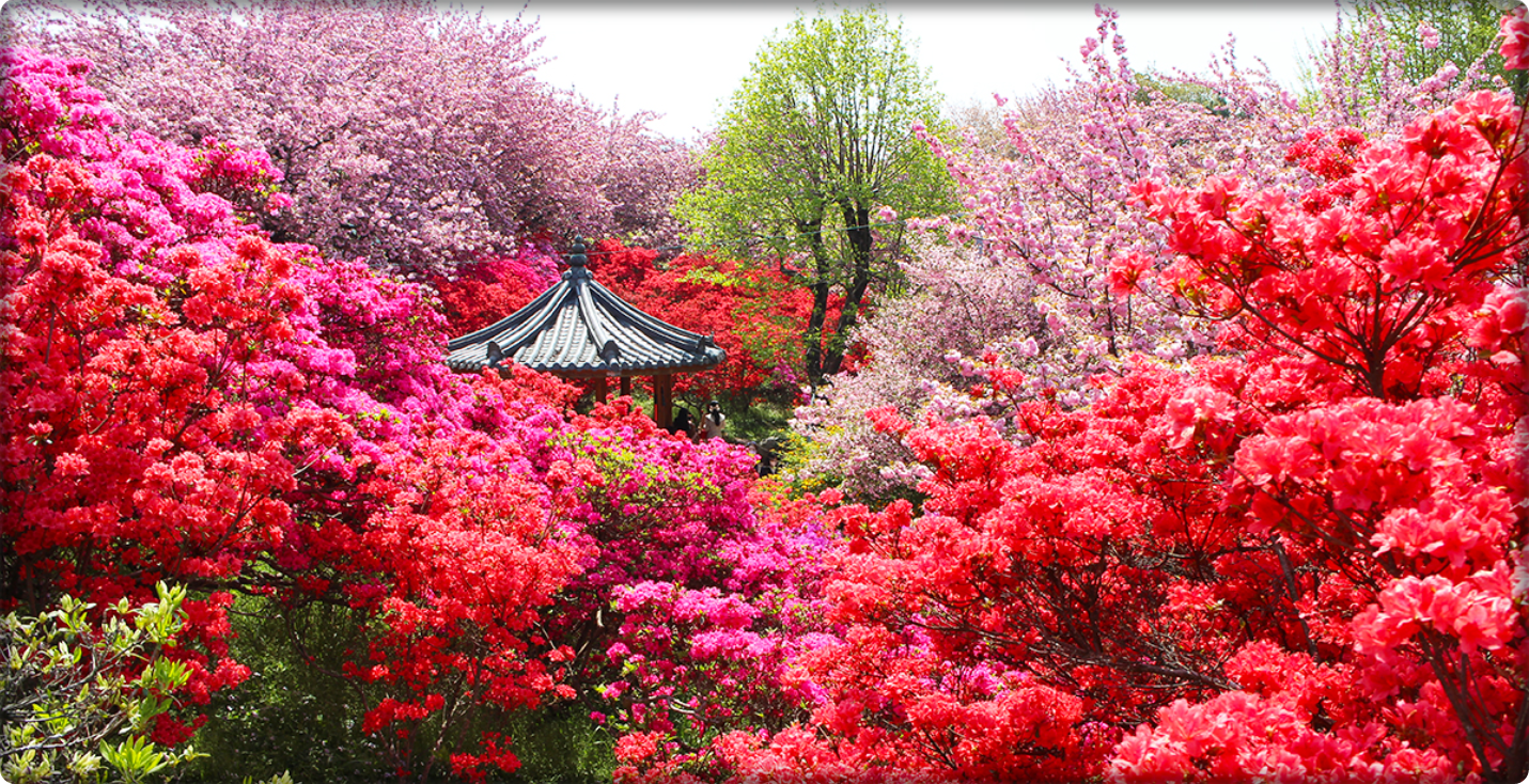 완산꽃동산
