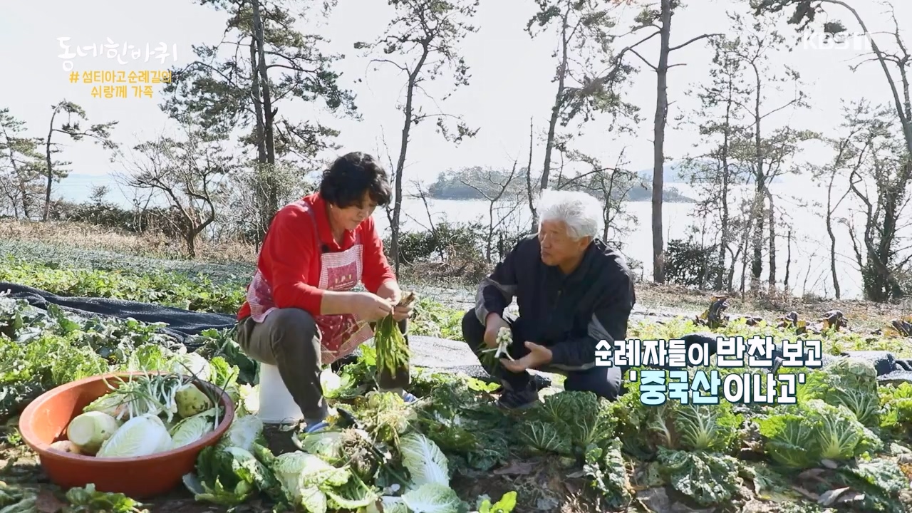 동네 한 바퀴.E258.240128p-NEXT.mp4_20240128_182047.594.jpg