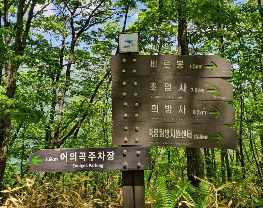 단양 가볼만한곳 베스트10 알아보자