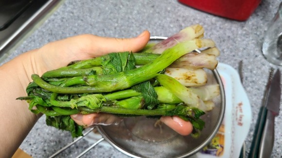 - 오가피 삼겹살말이 봄 야채 오가피 요리 15