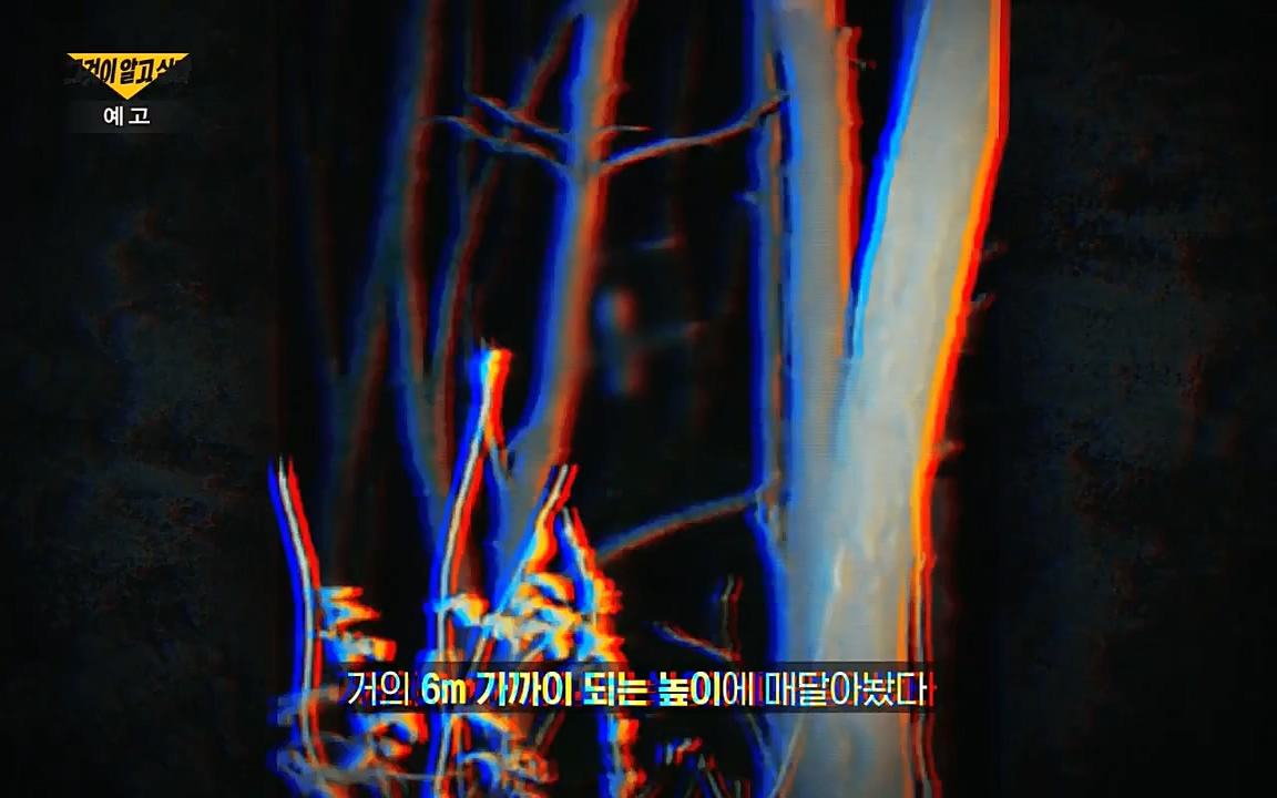 꼬리에 꼬리를 무는 그날 이야기.E39.220805p-NICE.mp4_20220806_190437.212.jpg