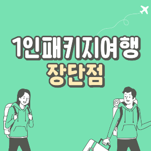 1인패키지여행