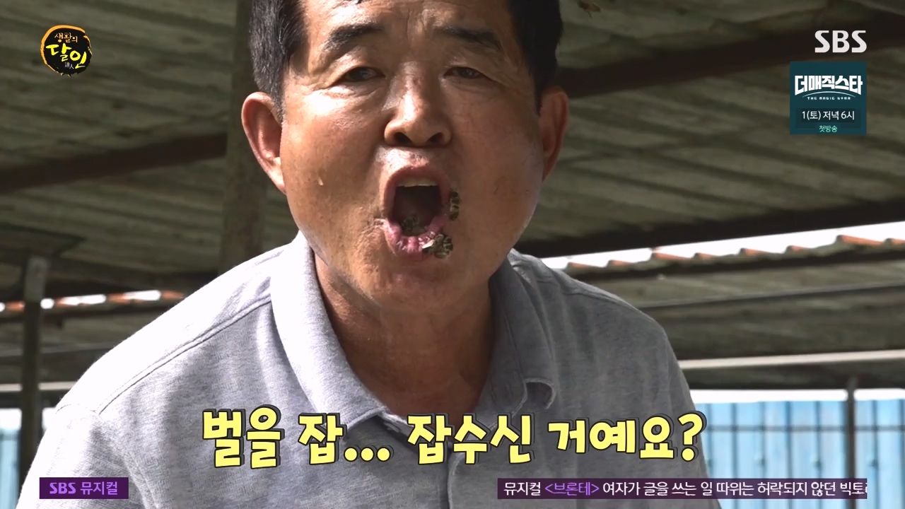 생활의 달인.E937.240528p-NEXT.mp4_20240528_195557.726.jpg