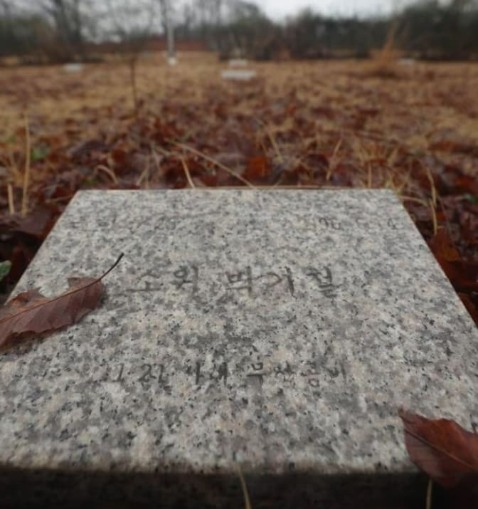 간첩 58명 묻힌 북한군 묘지를...文정부는 평화공원 조성 시도했다