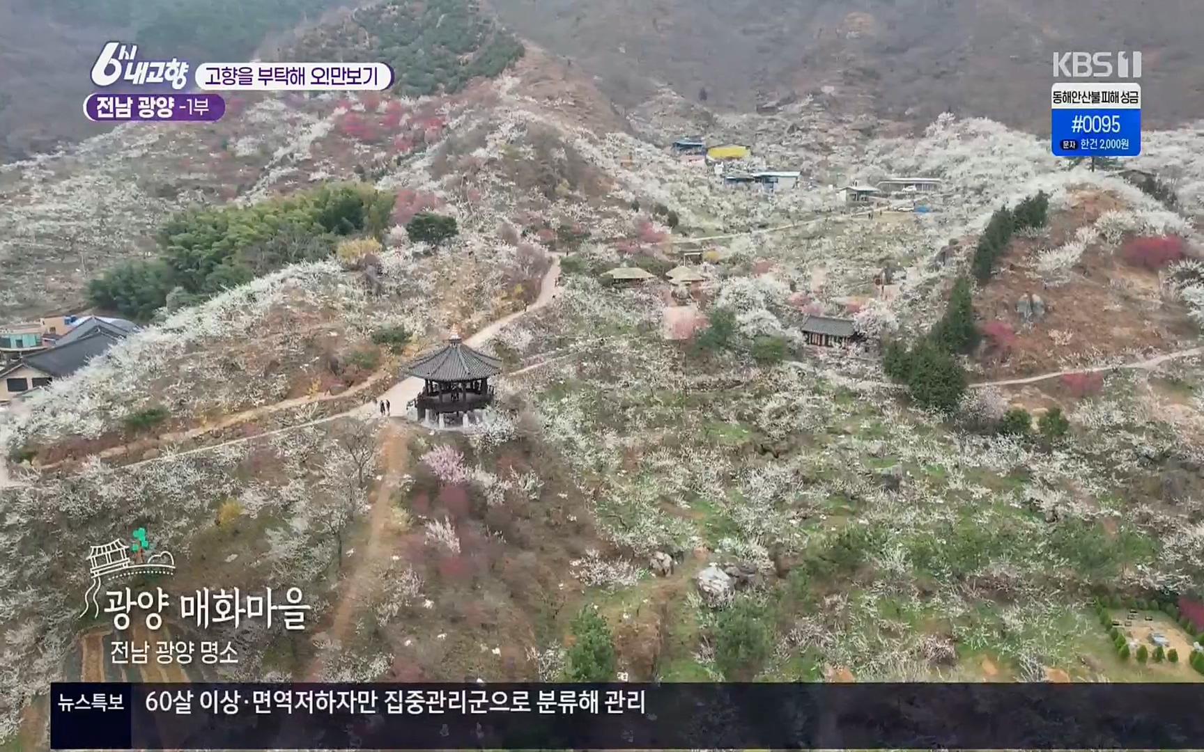 6시 내고향.E7494.220322p.H264-F1RST.mp4_20220326_174738.018.jpg