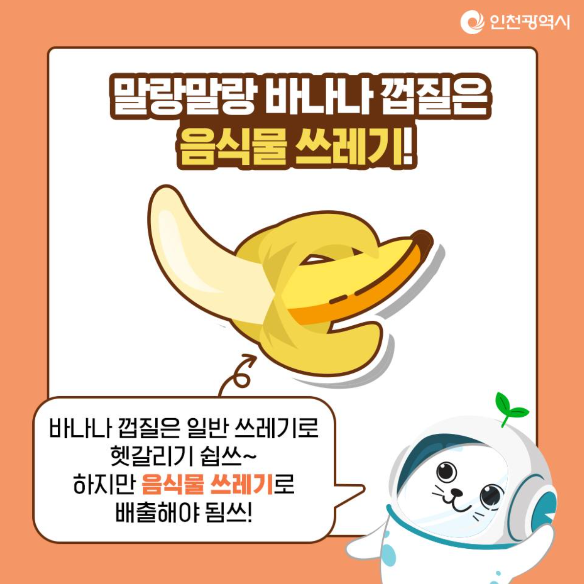 말랑말랑 바나나껍질 일반쓰레기