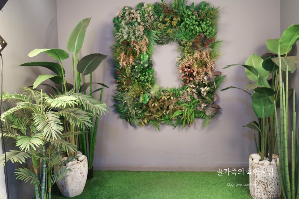 경북 축제 경북 아이와가볼만한곳 청도 4