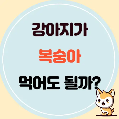 강아지가 복숭아를 먹어도 될까요?