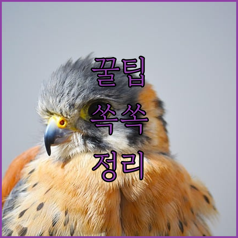 엔비디아, 수출 규제에 뿔났다! 젠슨