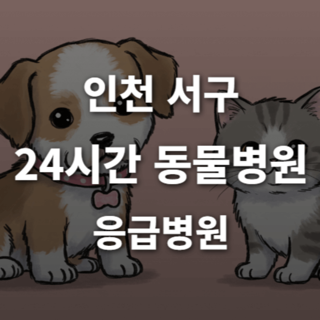 [인천 서구 24시간 동물병원(심곡동, 원당동, 청라동, )] 365일 연중무휴 반려동물 응급상황 대처 가능한 진료소
