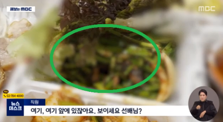  족발 쥐 프랜차이즈 어디? (+영업점 본사 대응)