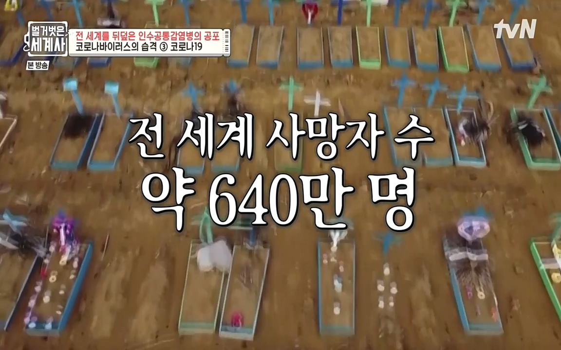 벌거벗은 세계사.E59.220810p-NEXT.mp4_20220810_212438.641.jpg