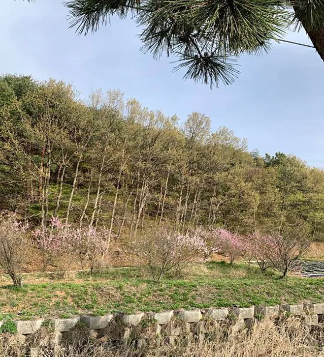 쉼이있는정원