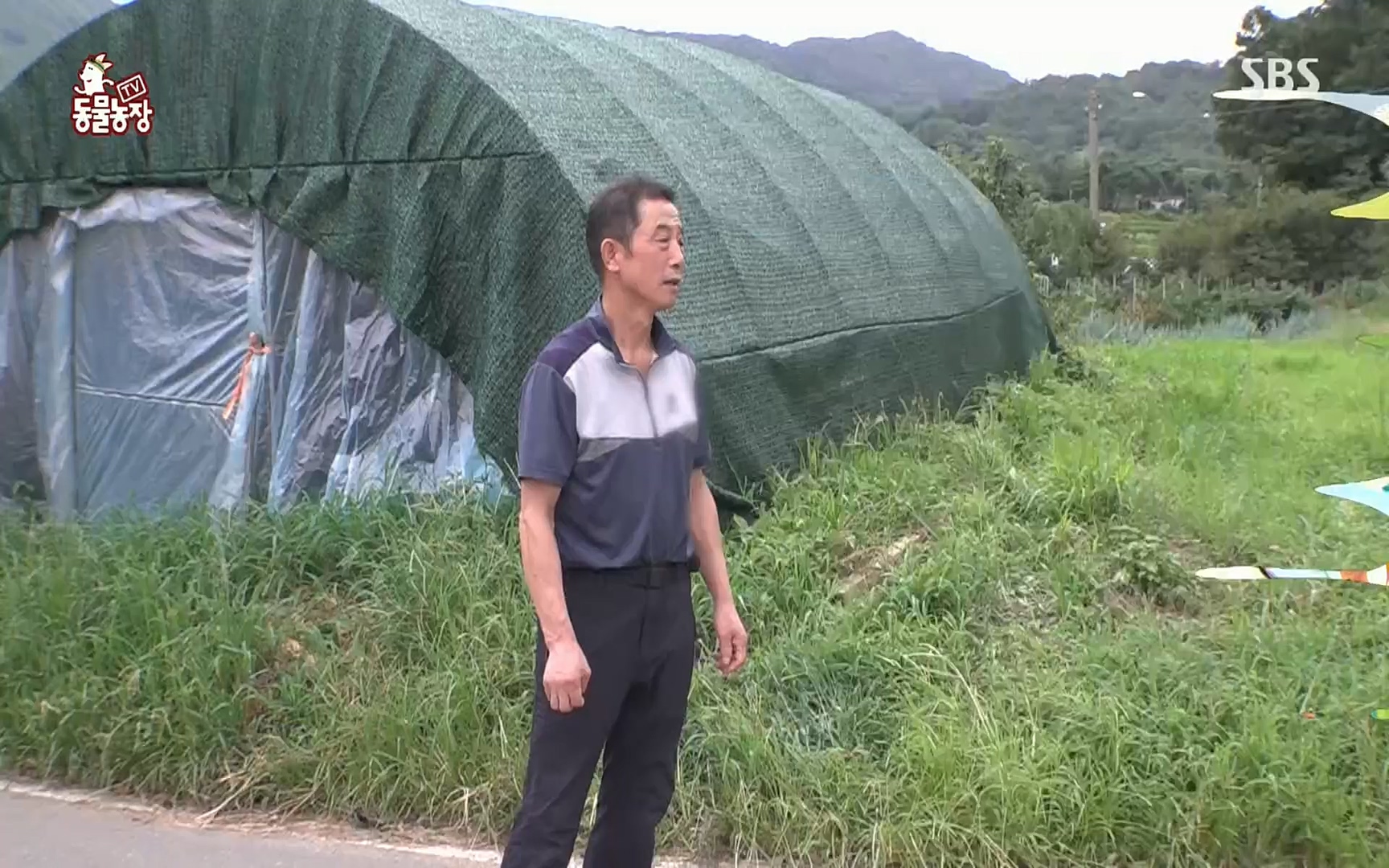 TV 동물농장.E1084.220828p.H264-F1RST.mp4_20220828_154055.495.jpg