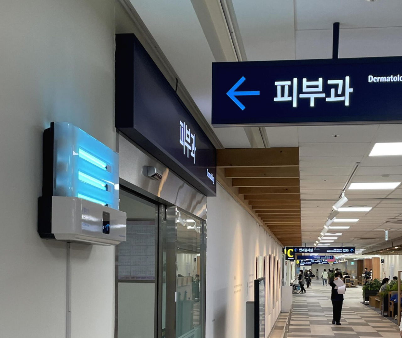  여자 다발성 원형탈모- 대학병원 방문 기록 | 갑자기 조직검사? 내가 루푸스라고?? | 루푸스 일기