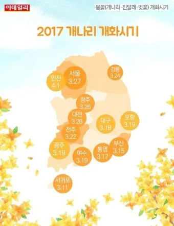 개나리 개화시기 2025 서울 경기 강원 전남 경북 제주_4