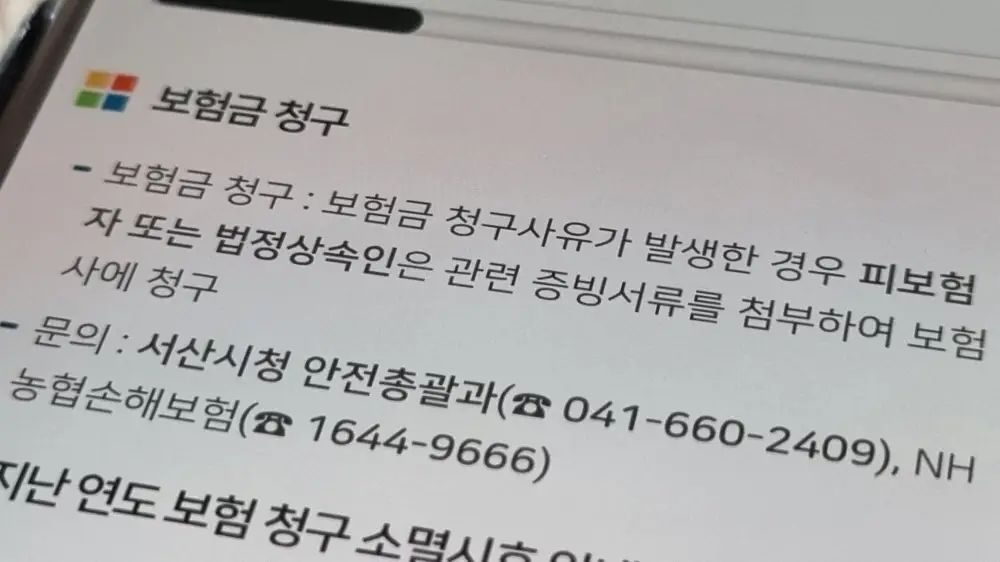 충남 서산 시민안전보험 접수 신청 문의 담당