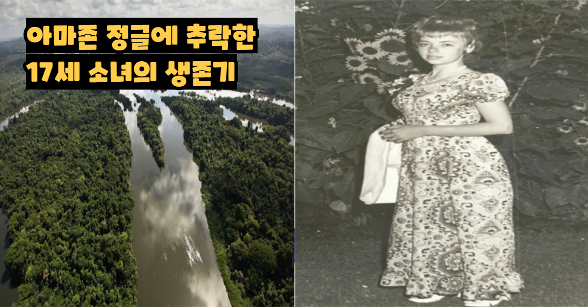  생존력 만렙인 전설의 17세 여고생
