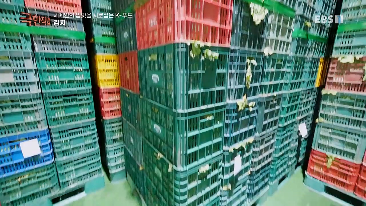 TV - 교육의 중심 EBS세계인의 입맛을 사로잡은 K-푸드.mp4_20230211_183500.367.jpg