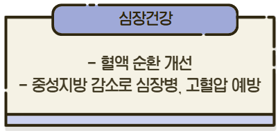 알티지-오메가3-효능-중-심장-건강에-대해-소개하는-이미지