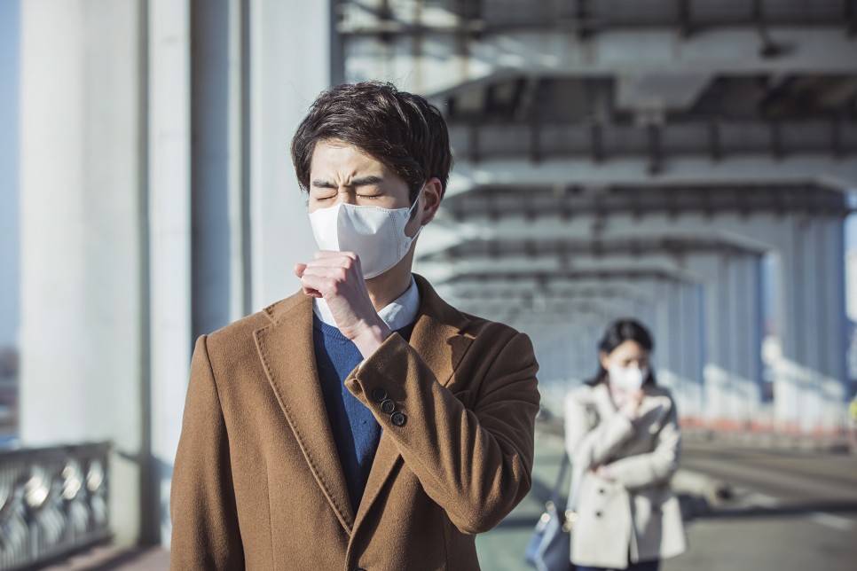 김치 칼로리 파김치효능 부작용, 6