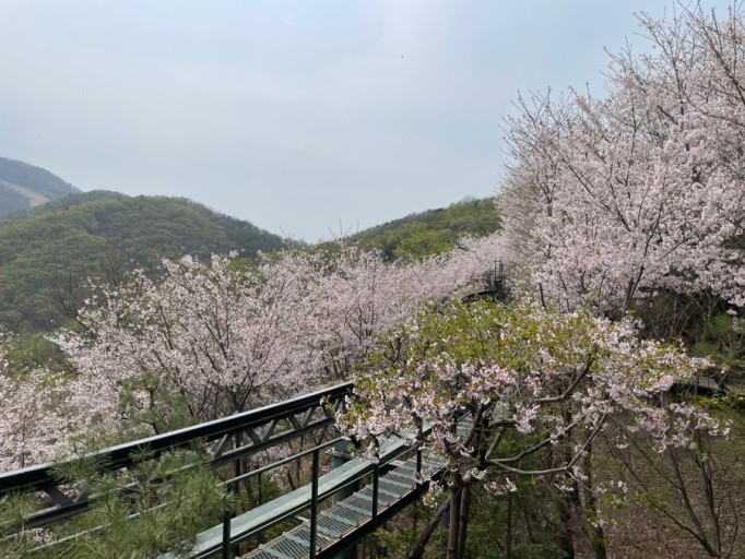 화담숲