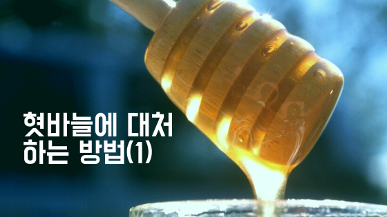  혓바늘 없애는 방법 - 유고 필모겔, 알보칠