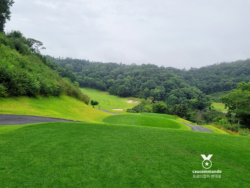 연예인 골프 순위 연예인들이 참여하는 25