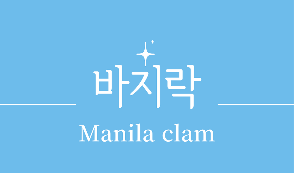 &#39;바지락(Manila clam)&#39;