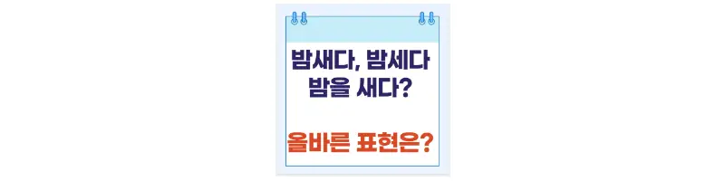 밤을 새다, 세다, 새우다, 밤새우다 올바른 맞춤법