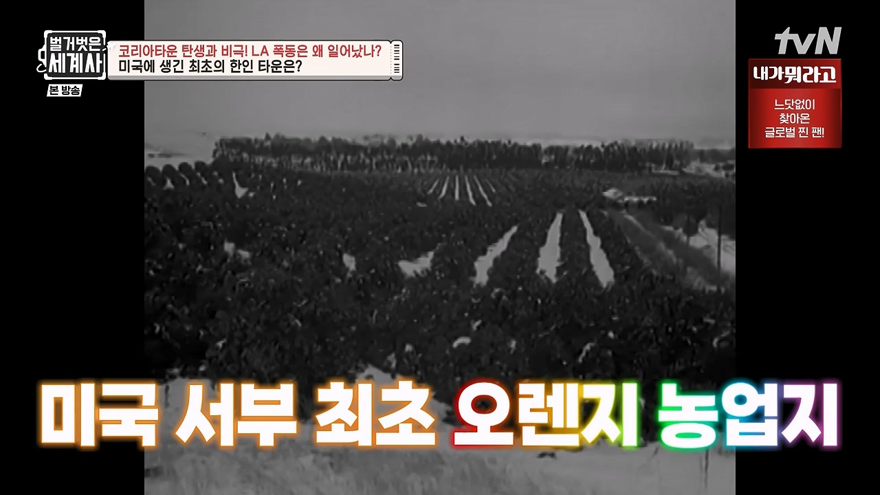 벌거벗은 세계사.E127.231129p-NEXT.mp4_20240608_171233.719.jpg