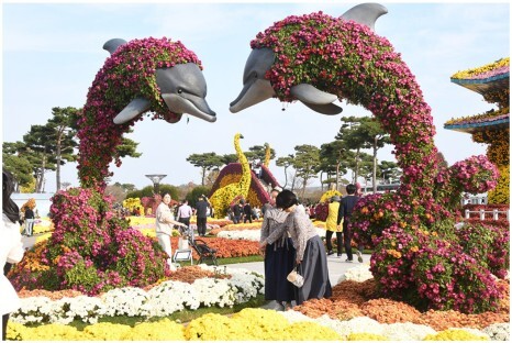 함평 국화축제(국향대전) 기본정보 일정 입장료 예매 안내