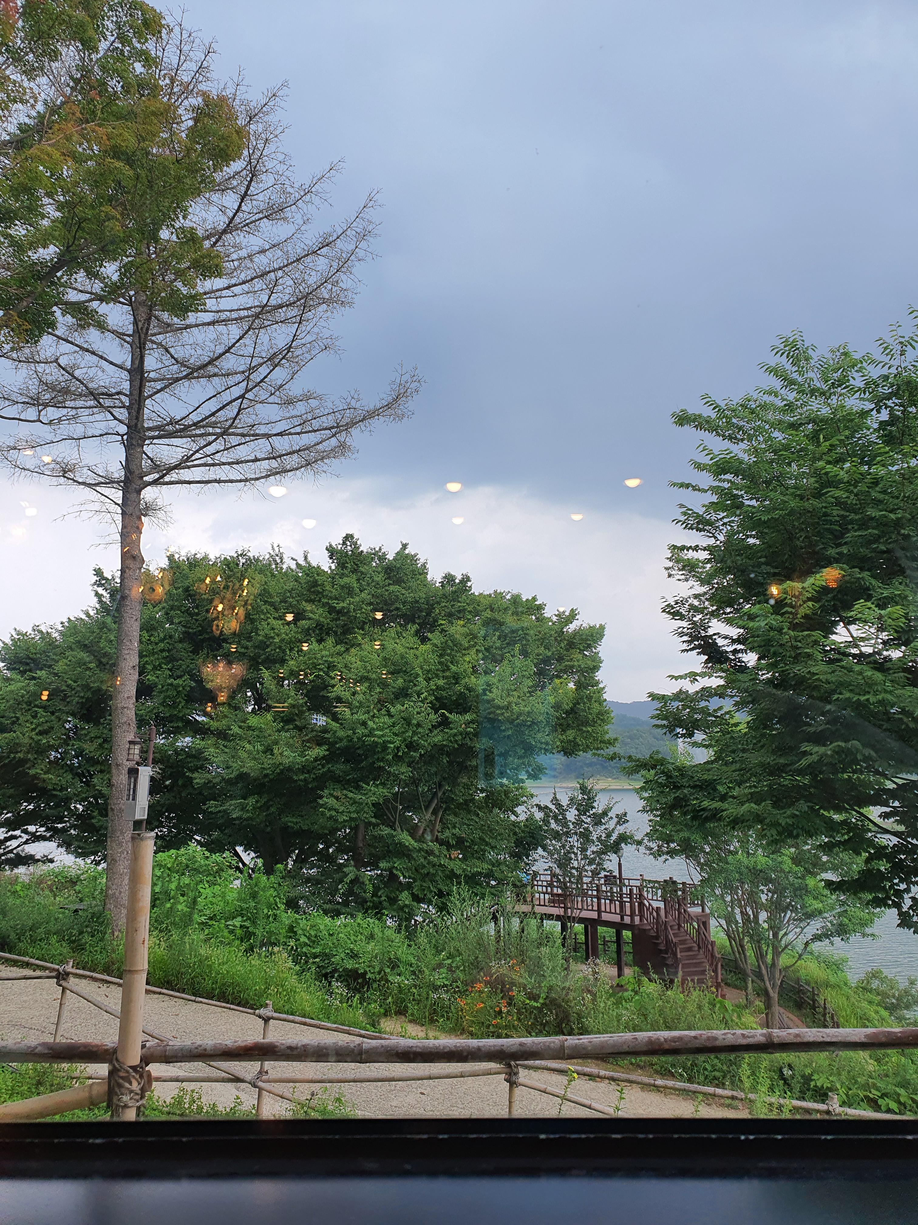 여름의 더대청호 풍경