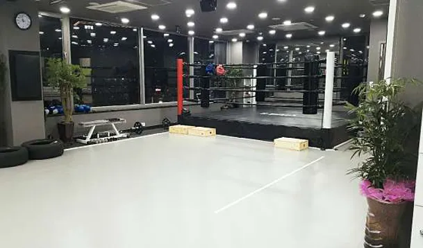 판교스타복싱