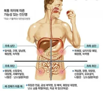 왼쪽 아랫배 통증 움질일때 콕콕 땡김_5