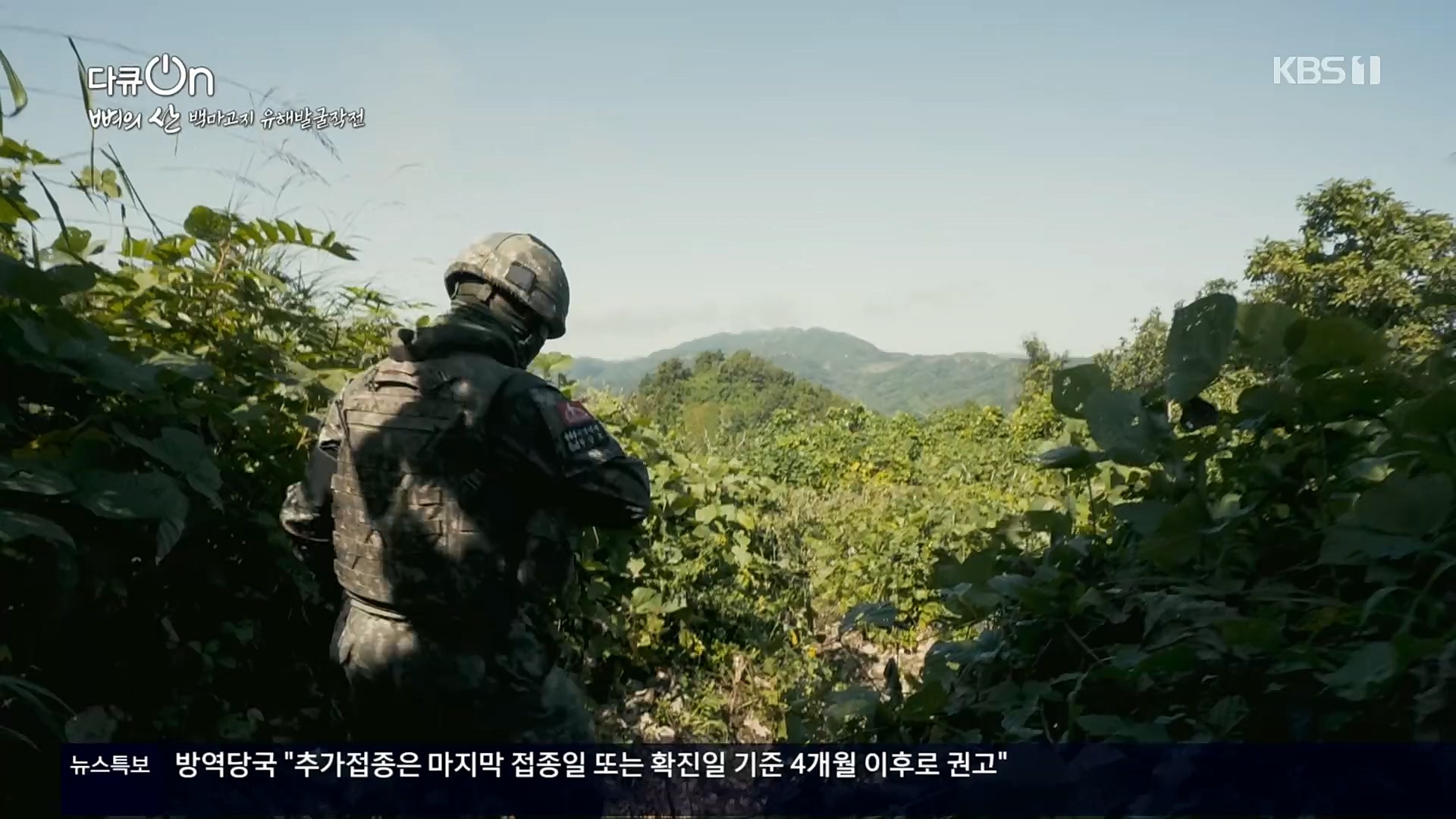 다큐 On.E163.221016p.H264-F1RST.mp4_20221018_185836.667.jpg