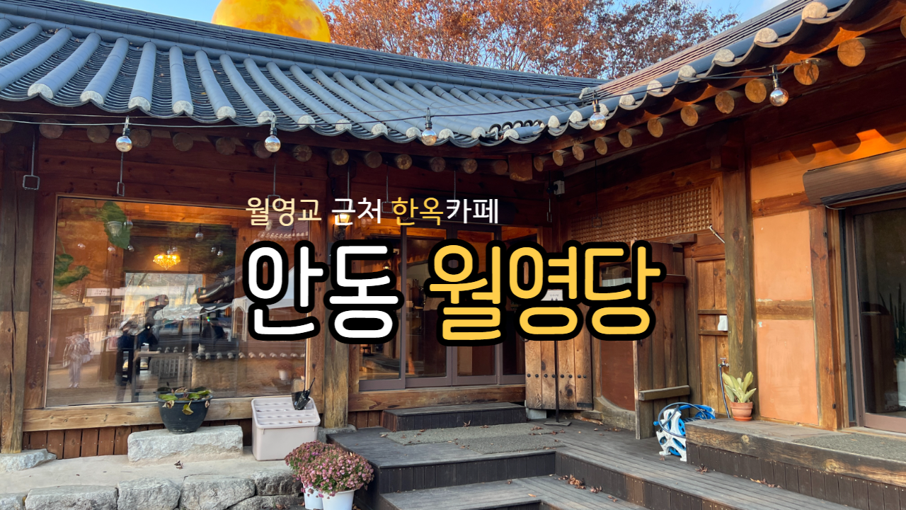  [안동] 낙동강 뷰가 예쁜 한옥카페 월영당 | 강철부대 이진봉 카페 | 월영교 문보트 데이트 추천 | 문보트 탑승시간, 티켓값, 탑승비용