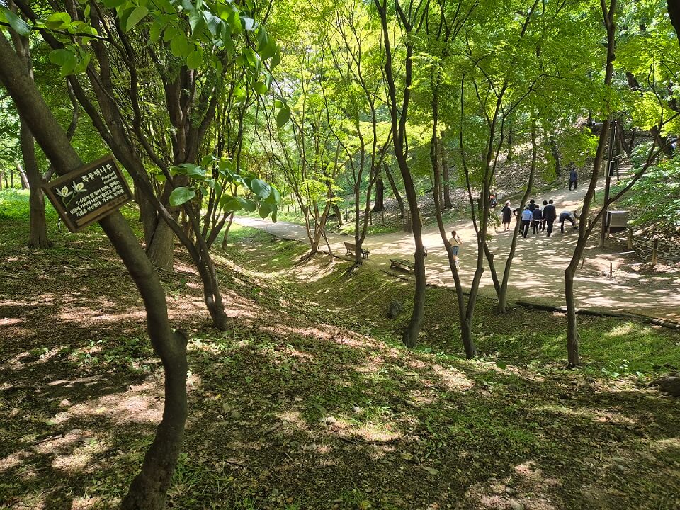  선릉과 정릉(선정릉) 가는 법과 주차장 그리고 선릉역 공영주차장