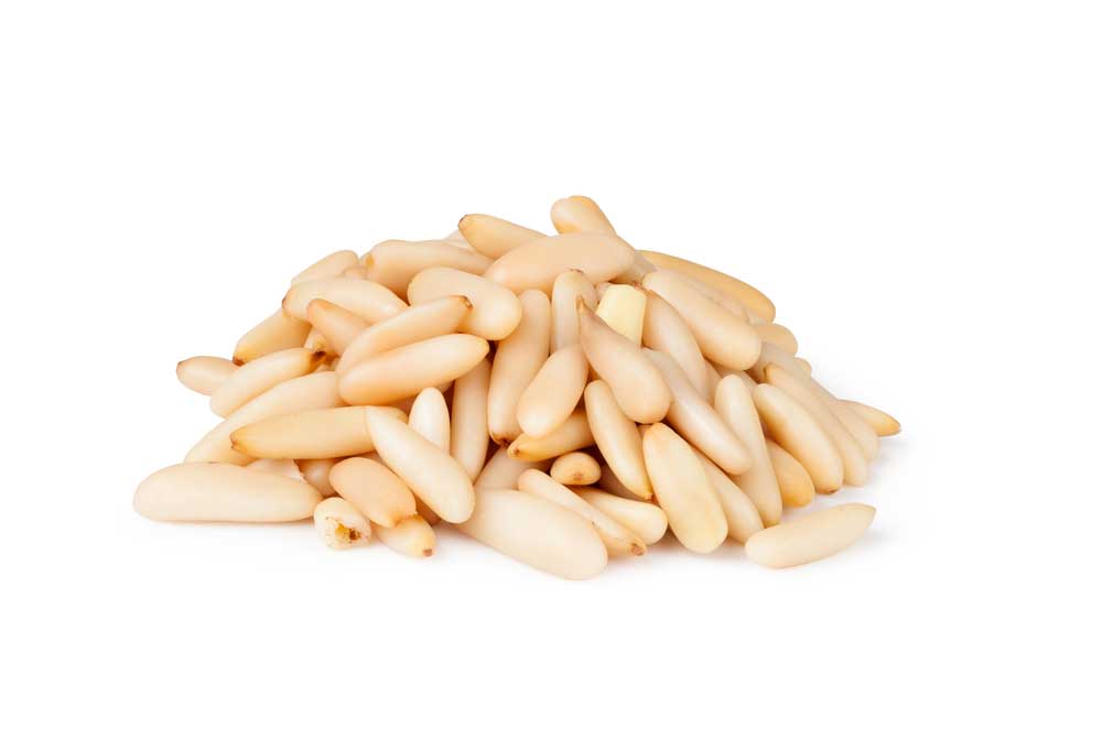  잣 Pine Nut 에 대해서 알아볼게요.