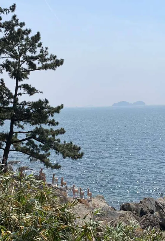 죽도