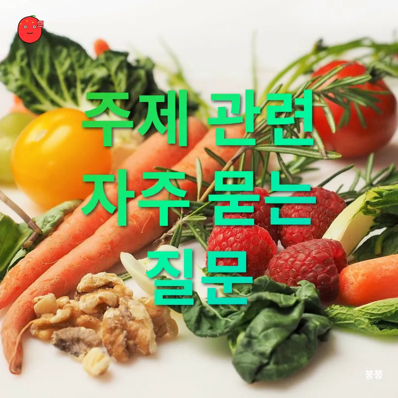 건강한 다이어트 월남쌈_4
