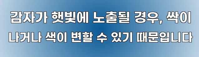  감자가 햇빛에 노출될 경우, 싹이 나거나 색이 변할 수 있기 때문입니다