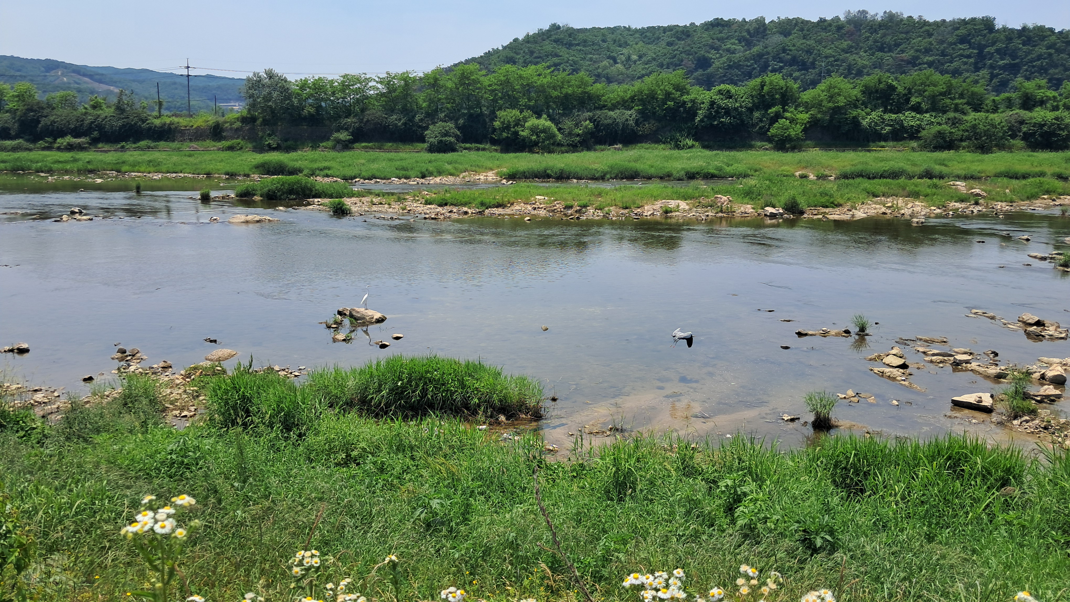 영평천