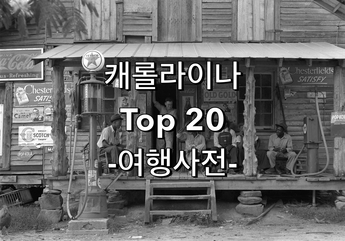  미국 노스캐롤라이나 Top 20